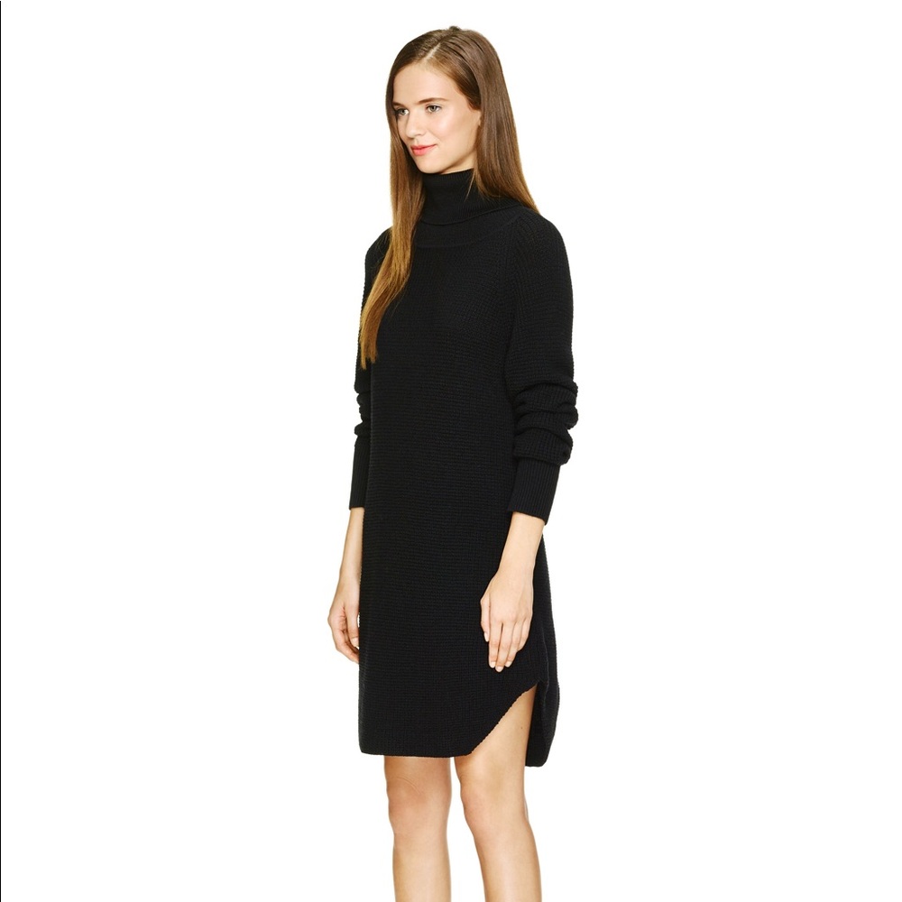 Bianca Wilfred free xxs black sweater dress!